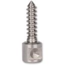 Axminster Woodturning Wood Screw Chuck - Replacement Small Screw